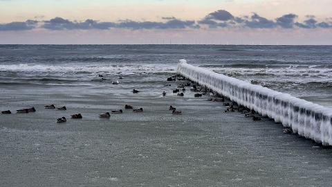 05_Winterspaziergang