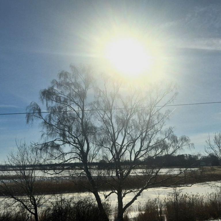 09 Blick auf Prerow Strom 