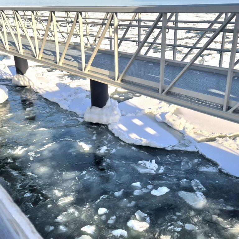 43 Bootsanleger Seebrücke Prerow 