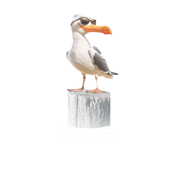 01_Möwe Jan