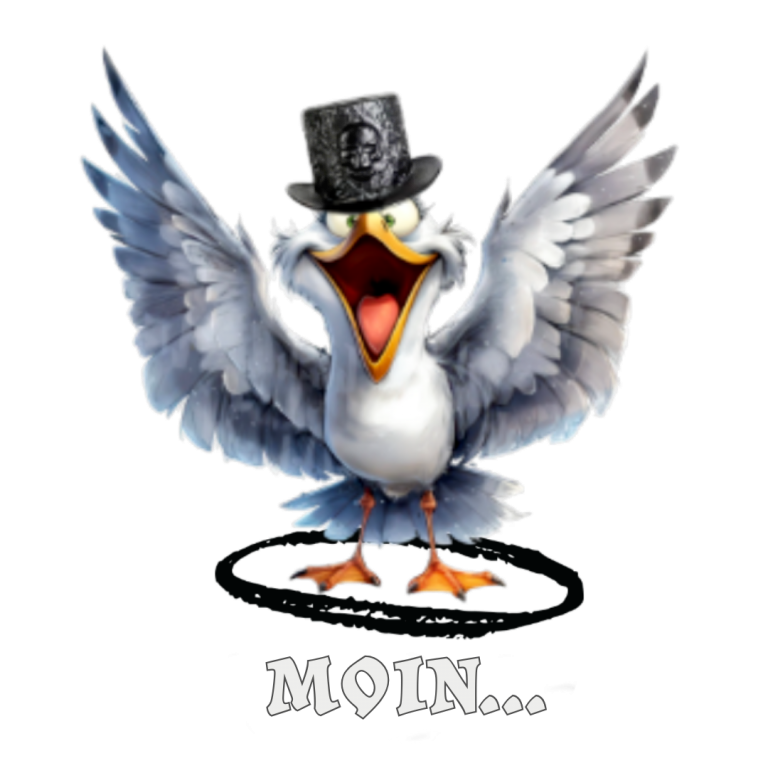 Möwe_L_Web